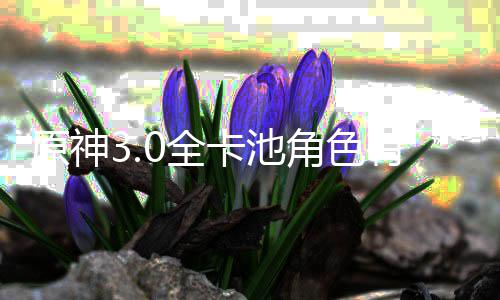 爆料0全0全原神有哪些 信息卡池卡池角色角色